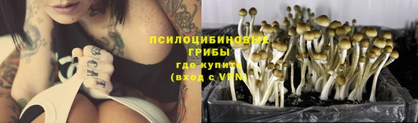 ешки Инсар