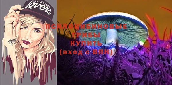 ешки Инсар